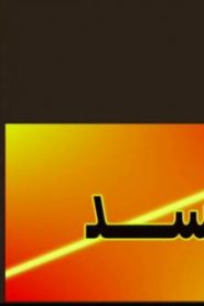 فلم الكرتون اسد مدبلج عربي