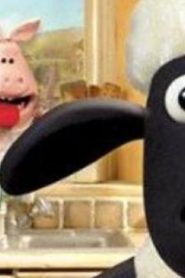 فيلم كرتون Shaun The Sheep A Woolly Good Time
