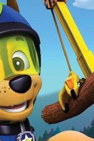 فلم كرتون Paw Patrol Brave Heroes, Big Rescues 2016 مترجم عربي