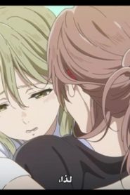 فلم Koe no Katachi – صوت صامت مترجم عربي