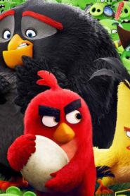 فيلم الكرتون أنجري بيردز – Angry Birds مترجم عربي