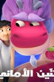 فيلم كرتون تنين الأمنيات مدبلج عربي
