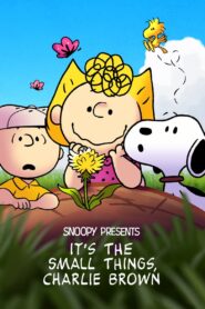 فيلم سنوبي يقدم: تشارلي براون ، تشارلي براون – It’s the Small Things, Charlie Brown مدبلج عربي