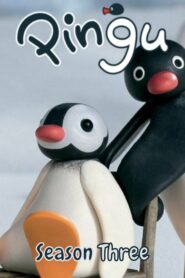 Pingu: Season 3