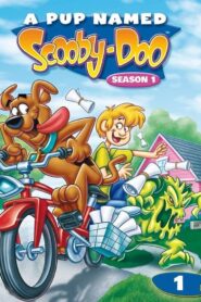 A Pup Named Scooby-Doo: Season 1