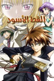 انمي القط الاسود Black Cat مدبلج عربي