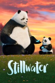 كرتون ستيلووتر – Stillwater مدبلج عربي